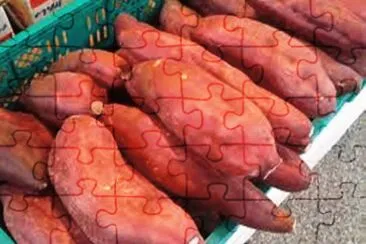 Batata Doce Roxa