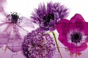 פאזל של Purple Summer