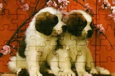 gossets jigsaw puzzle