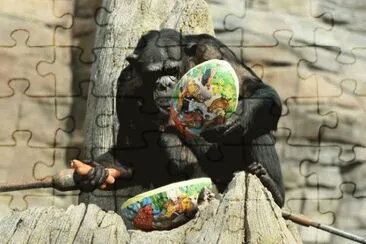 Easter present for Viktoria  Hannover Zoo jigsaw puzzle