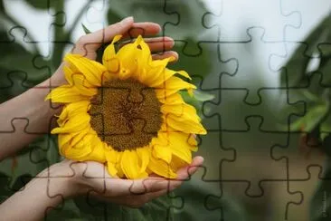 MARSU jigsaw puzzle