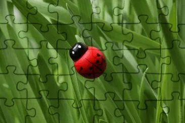 MARSU jigsaw puzzle