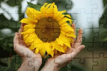 MARSU jigsaw puzzle
