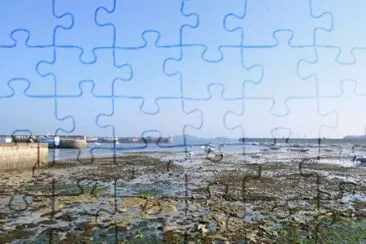 MARSU jigsaw puzzle