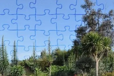 MARSU jigsaw puzzle