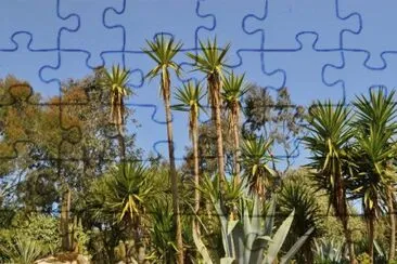 MARSU jigsaw puzzle