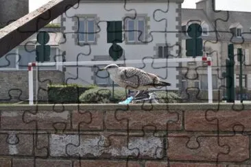 MARSU jigsaw puzzle