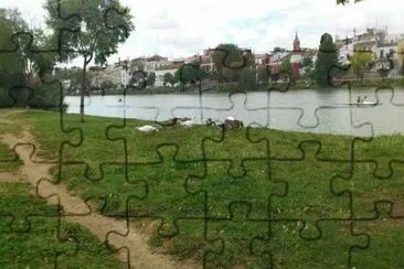 p jigsaw puzzle
