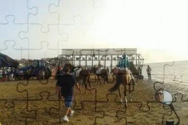carreras jigsaw puzzle