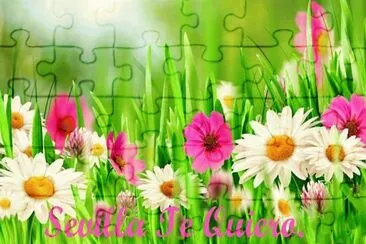 flores jigsaw puzzle