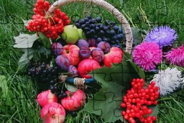 Fruit and Flowers