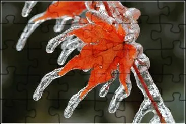 Paisaje jigsaw puzzle
