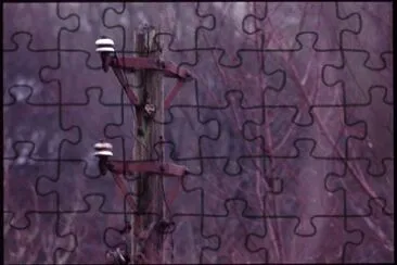 MARSU jigsaw puzzle