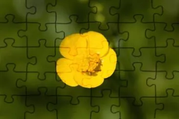 MARSU jigsaw puzzle