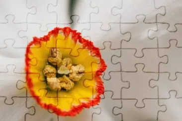 MARSU jigsaw puzzle