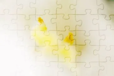 MARSU jigsaw puzzle