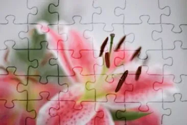 MARSU jigsaw puzzle