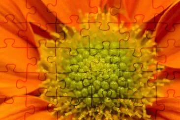 MARSU jigsaw puzzle