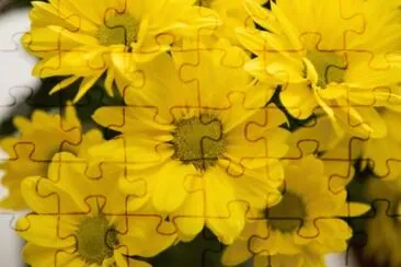 MARSU jigsaw puzzle