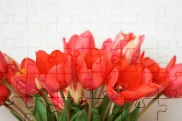 MARSU jigsaw puzzle