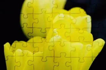 MARSU jigsaw puzzle