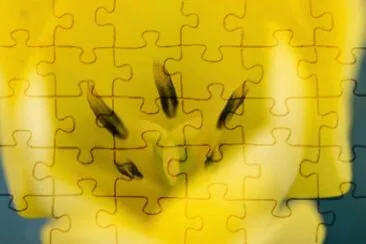 MARSU jigsaw puzzle