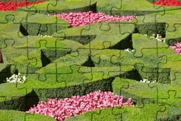 MARSU jigsaw puzzle