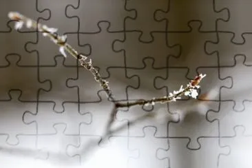 MARSU jigsaw puzzle