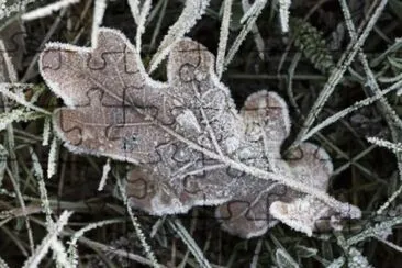 MARSU jigsaw puzzle