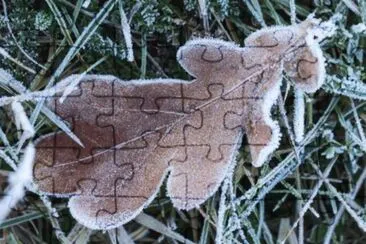 MARSU jigsaw puzzle