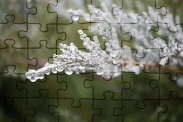 MARSU jigsaw puzzle