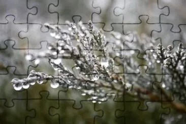 MARSU jigsaw puzzle