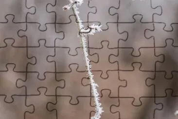 MARSU jigsaw puzzle