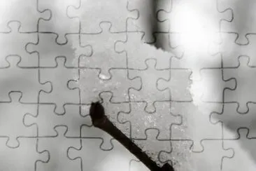 MARSU jigsaw puzzle