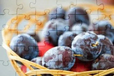MARSU jigsaw puzzle