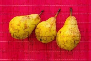 MARSU jigsaw puzzle