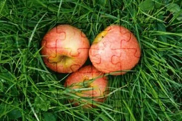 MARSU jigsaw puzzle