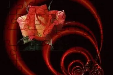 Rosa