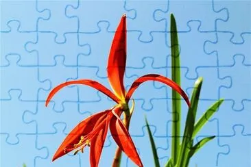 Lili Azteca jigsaw puzzle