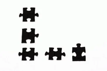 MARSU jigsaw puzzle