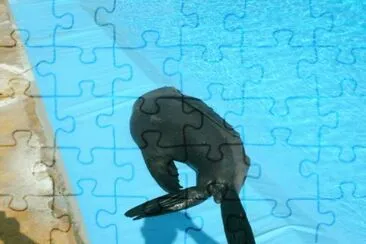 פאזל של MARSU