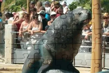 MARSU jigsaw puzzle