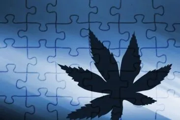 MARSU jigsaw puzzle
