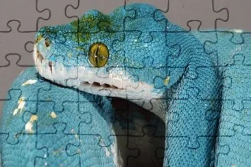 jhb jigsaw puzzle