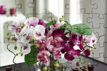 fleurs: orchidÃ©es