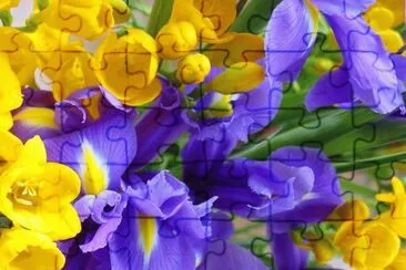 פאזל של Yellow and Purple Flowers