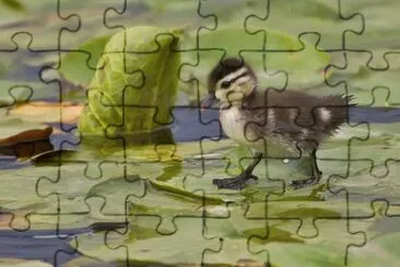 . jigsaw puzzle