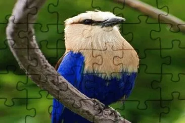 . jigsaw puzzle