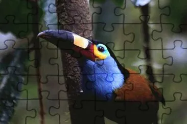. jigsaw puzzle