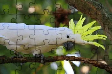 . jigsaw puzzle